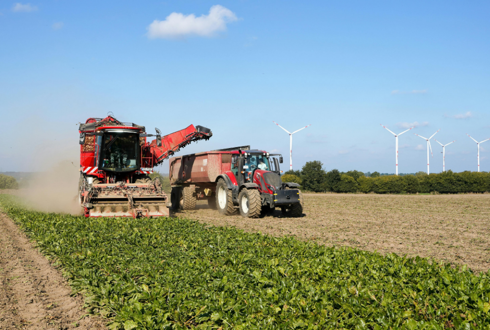 A red harvester transfers crops to a tractor trailer in a field, with wind turbines in the background under a clear blue sky.